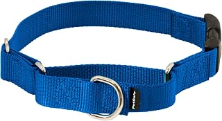 PetSafe Adjustable Martingale Collar - Improves Leash Manners - Escape Prevention - Gentle Behavior Training - Durable Nylon - Alternative to Choke Collar - Medium 1" - Royal Blue
