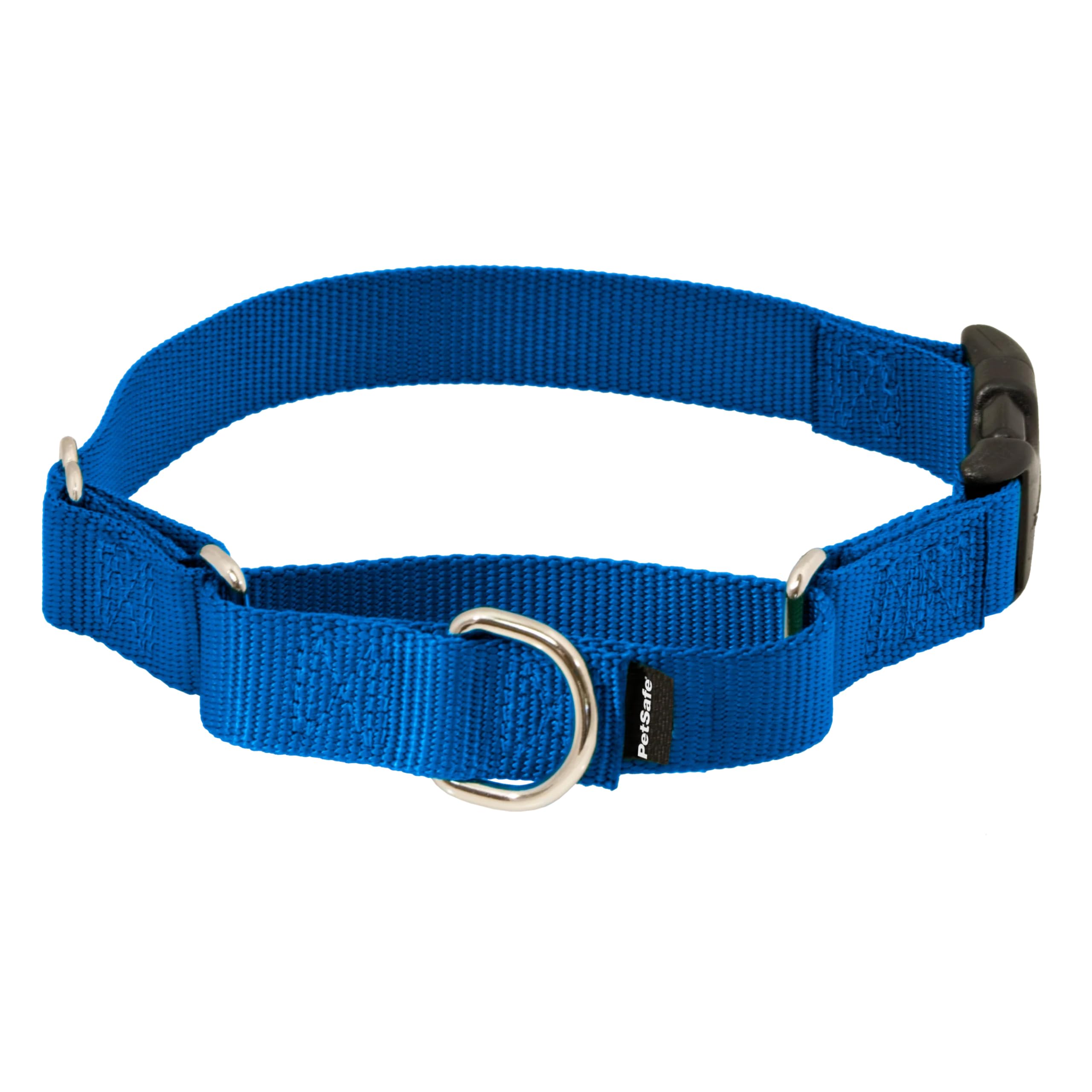 PetSafe Martingale Collar with Quick Snap Buckle, 1" Large, Royal Blue