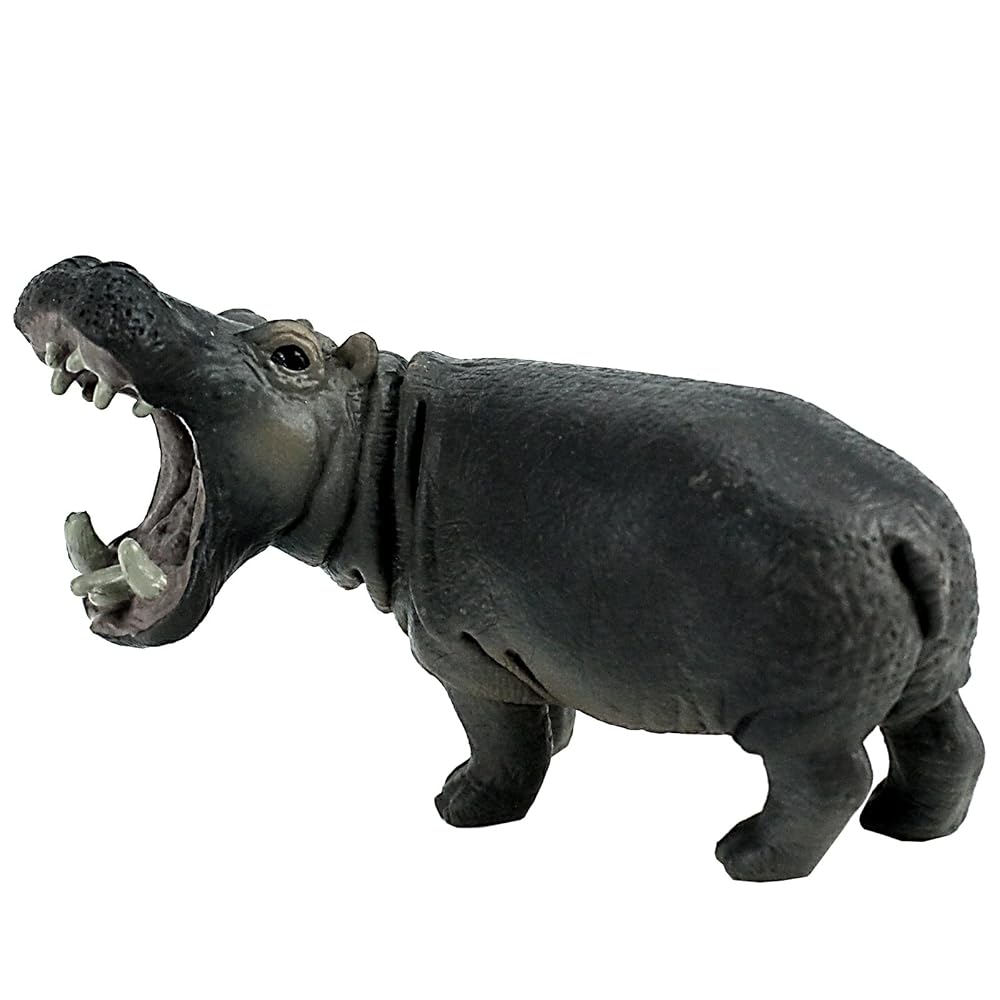 FUNSHOWCASE African Jungle Animals Hippo Roaring Hippopotamus Toy Figure Realistic Plastic Figurine Height 2.7