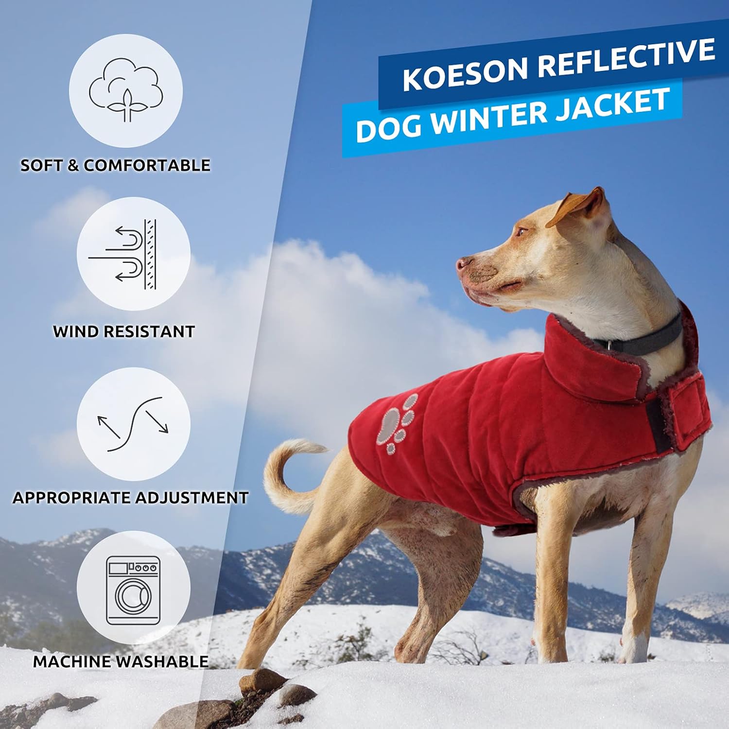KOESON Reversible Dog Winter Coat, Warm Fleece Lining Dog Cold Weather Coat for Small, Medium & Large Dogs, Wind-Resistant Dog Winter Jacket Pet Warm Clothing Apparel with Leash Hole Red S : Pet Supplies