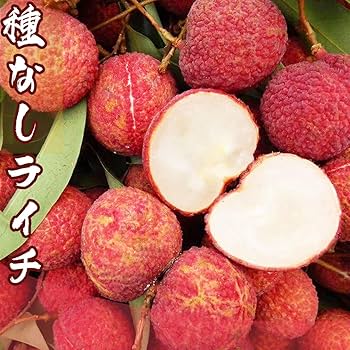 ライチ、レイシ、結実歴有ります ライチ、レイシ、結実歴有ります ライチ、レイシ、結実歴有ります