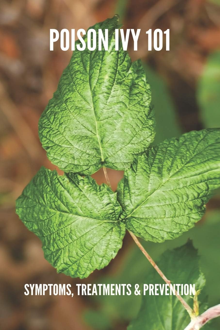 Poison Ivy 101: Symptoms, Treatments & Prevention: Poison Ivy Treatment