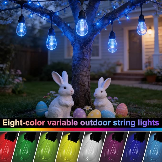 Luces de Cadena Exteriores LED Color Cambiante 48FT 20 Bombillas miniatura 2