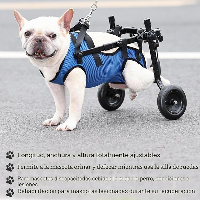 Foto 2 de 8 de LekLai Silla de Ruedas para Perros, Silla de Ruedas Ajustable para Patas Traseras para Perros Pequeños