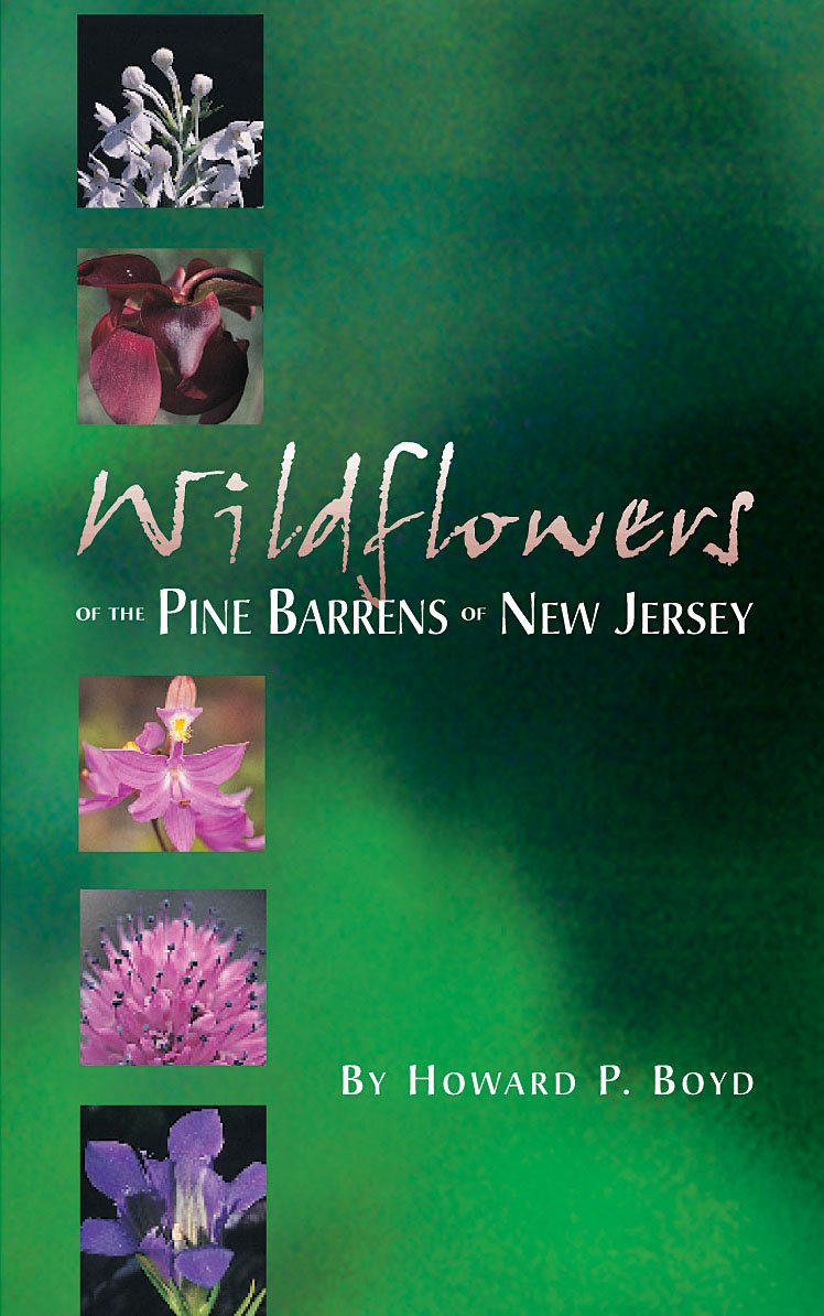 Wildflowers of the Pine Barrens of New Jersey