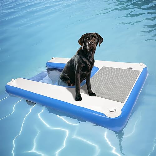 Rampa de agua inflable para perros de 60 pulgadas de largo x 40 pulgadas de ancho, superficie duradera y resistente a pinchazos que garantiza un