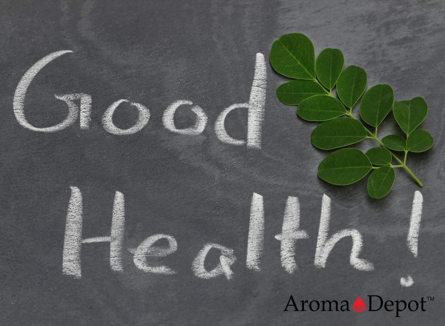1 lb Moringa Seeds KERNEL Shelled Clean 100% Natural, Raw Superfood Nutritional, Rich in Vitamins, Edible Seeds, Protein, Minerals, Potassium. (APX 1550-1700 Kernels)