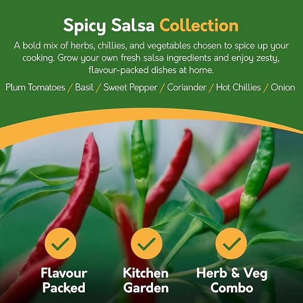Pronto Seed Grow Your Own Vegetable & Herb Kit – 21 Varieties, 1700+ Seeds for Planting UK – Salad, Spicy, Peas & Beans Mix – Gardening Gifts for Men & Women with Growing Guide - 5