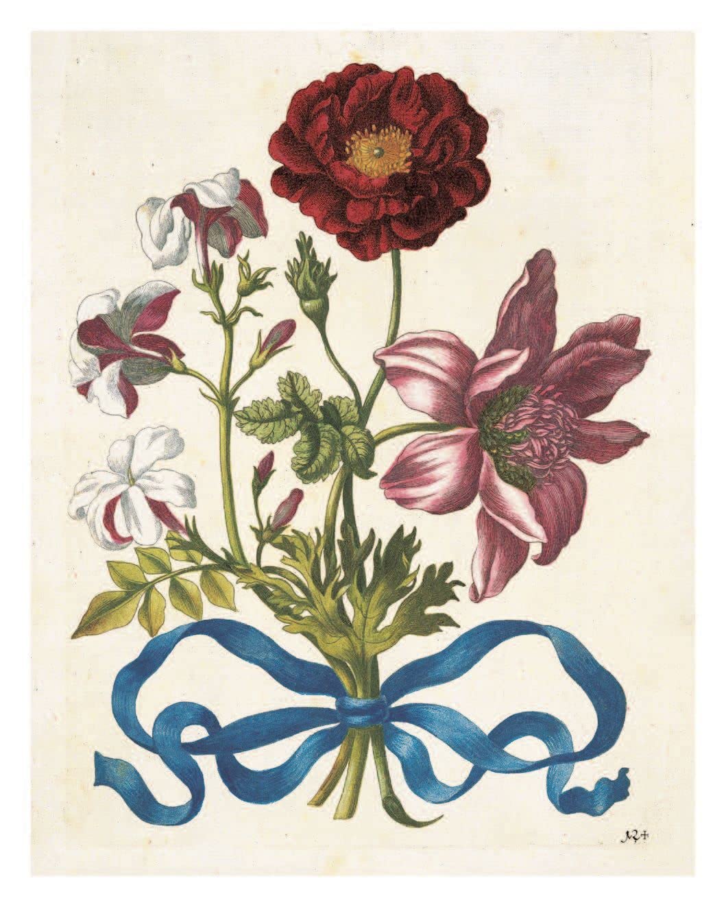 Pull-Out Posters: Maria Sibylla Merian: 22 Pull-Out Posters