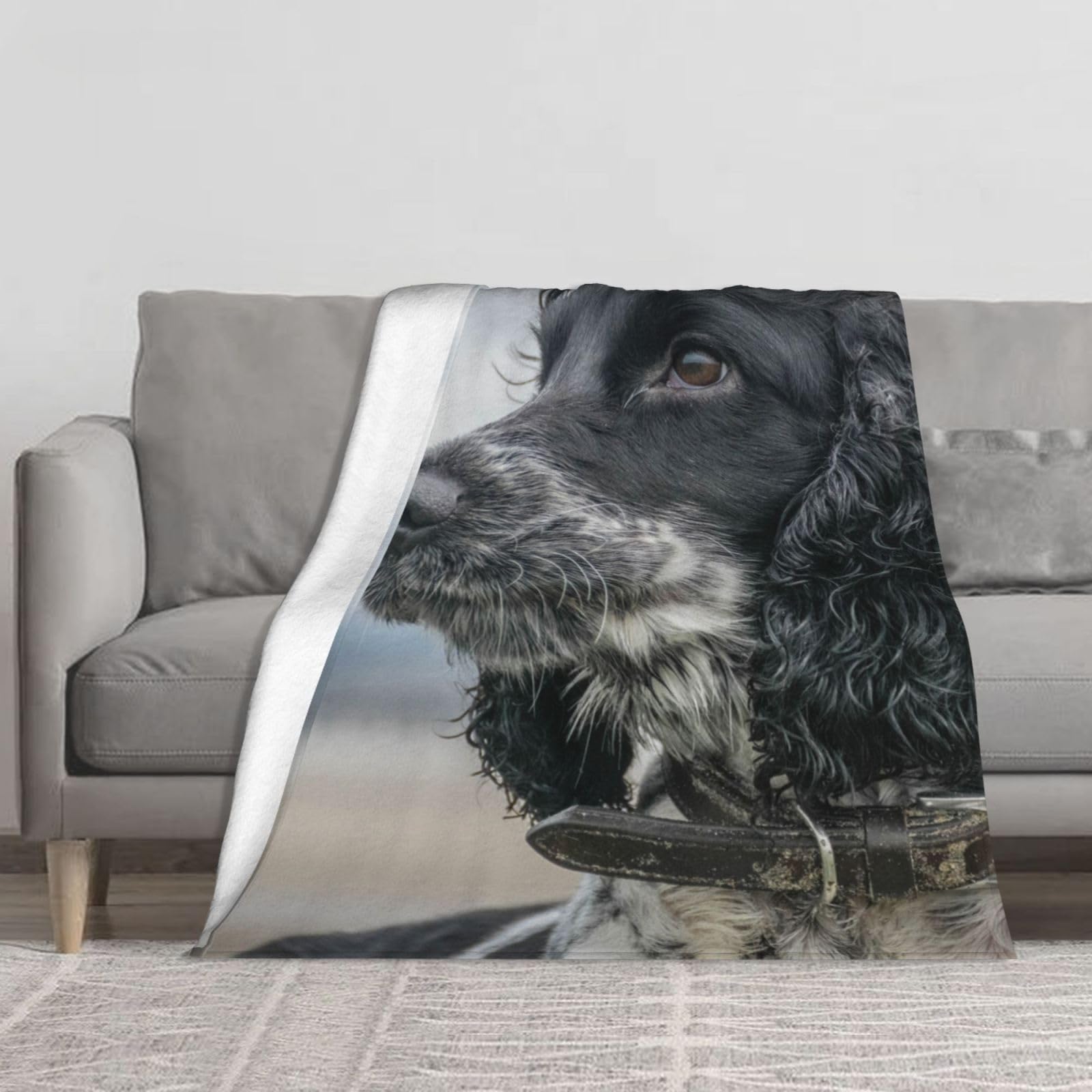 Bywenhopnbs As Picture English Cocker Spaniel Large Curly Ears Black,Super Soft Thick Comfy Cozy Throw Flannel Blanket Couch 60"X50"