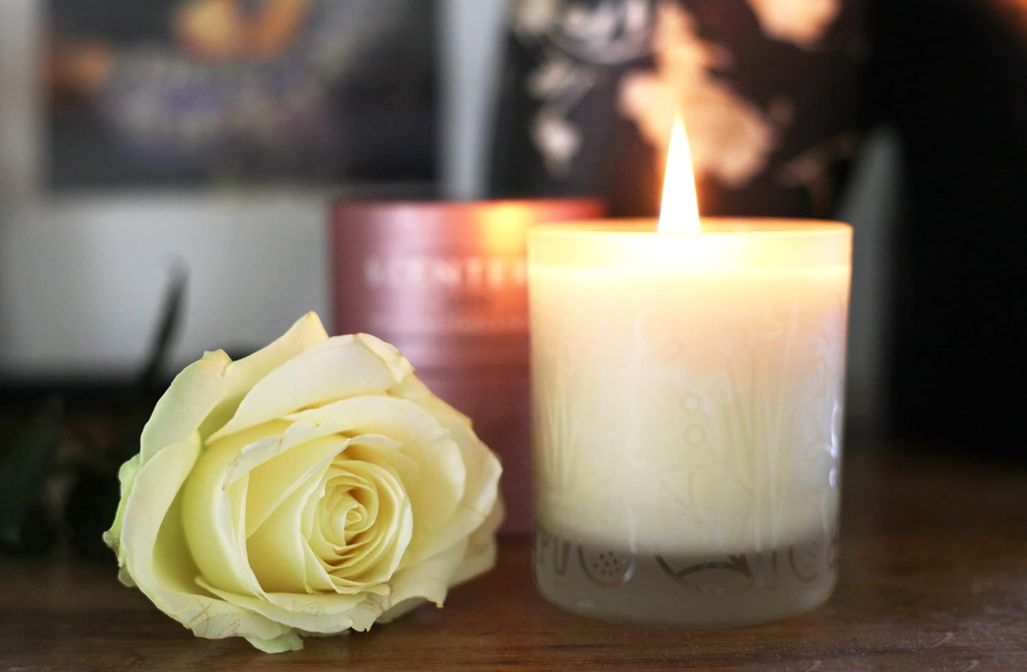 Scentered Aromatherapy Bundle, Love Home Candle and Love Balm : Health & Household