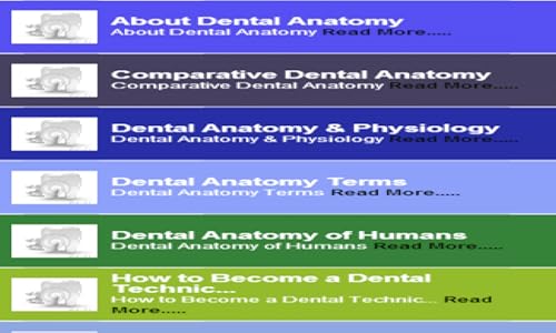 Dental Anatomy