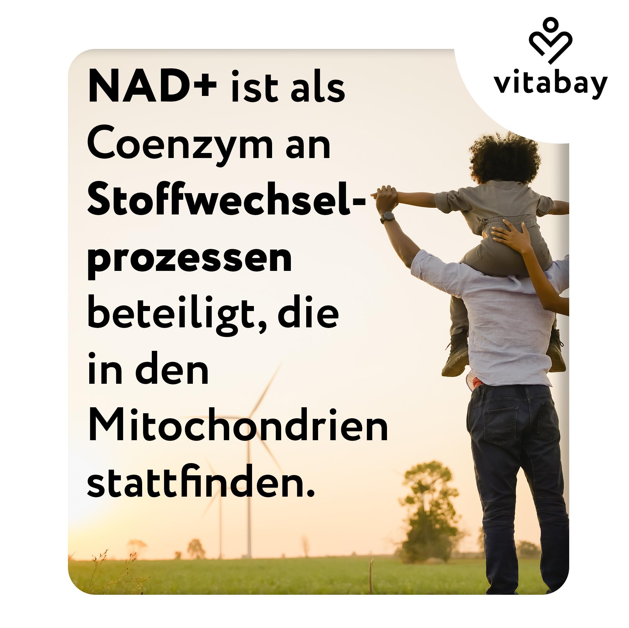 Vitabay Liposomales NAD+ 1000 mg mit Trans-Resveratrol 600 mg - 90 vegane Softgels - hochdosiert, vegan, laborgeprüft in Deutschland - NAD Supplement, ohne Gentechnik - 45 Tage Vorrat