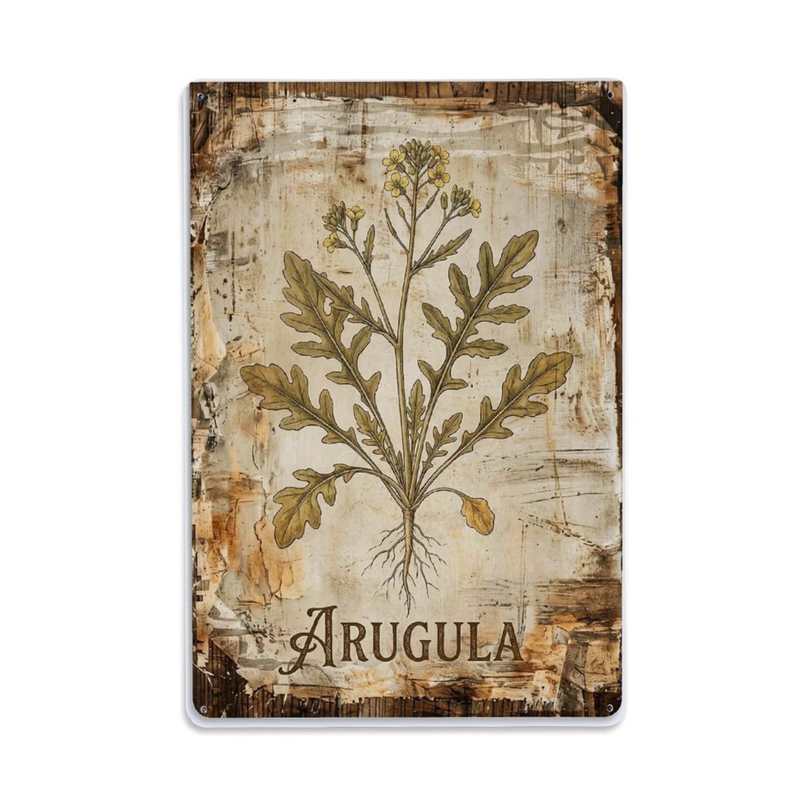 Fqnyr Style Arugula Leafy Vegetable Metal Tin Sign Plaque Wall Decor For Cafe, Club Bar, Office, Home Garden Metal Poster 8X12inch