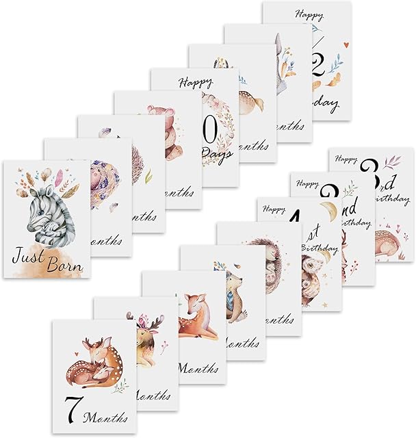 16 Pcs Baby Monthly Anniversary Cards Gift for Baby Unisex Boy Girl Photo Keepsakes Birth Celebration (687-A)