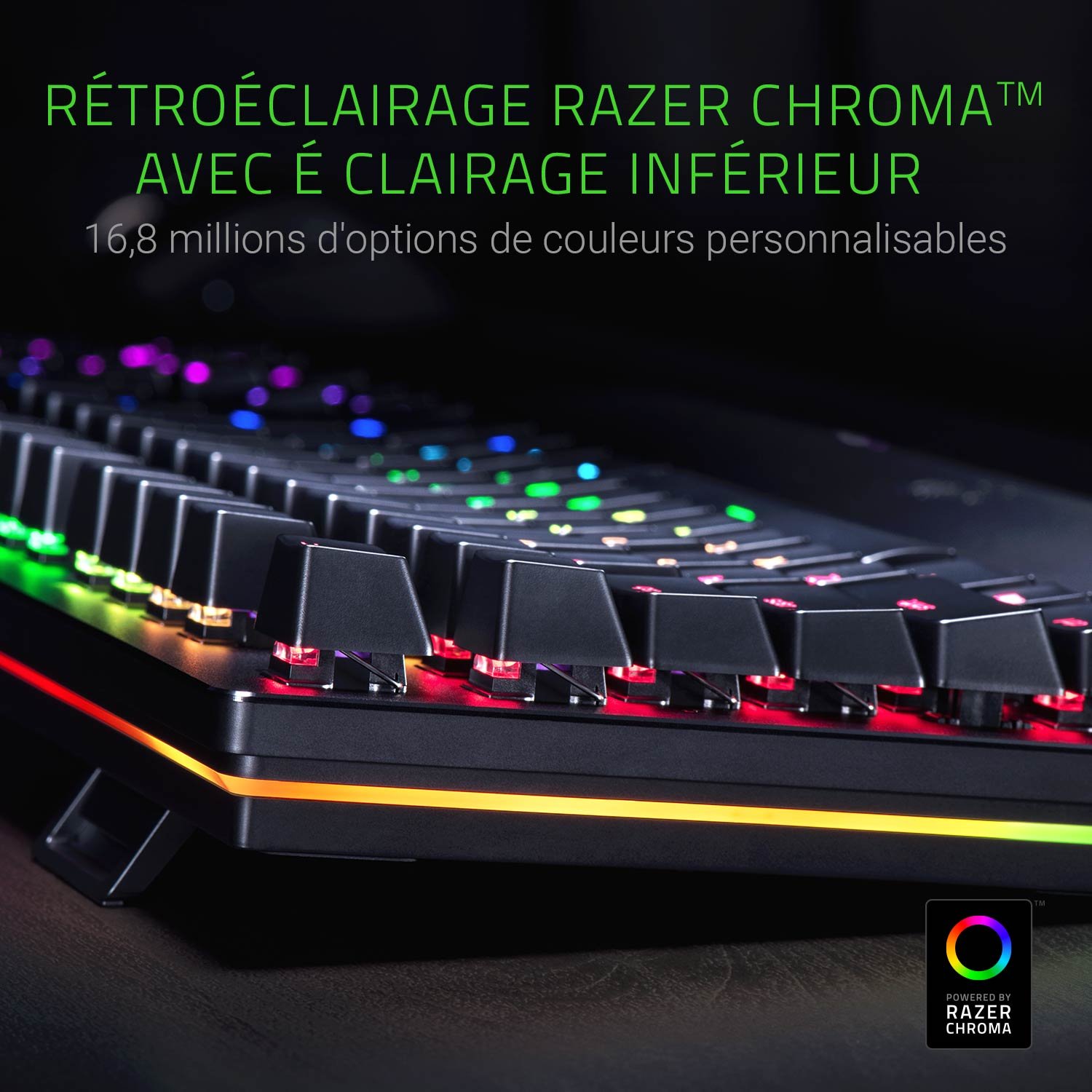 Razer Huntsman Elite (Purple Switch) - Clavier de Jeu avec commutateurs opto-mécaniques (contrôle Rotatif, Repose-Paume éclairé, RGB Chroma) Clavier AZERTY | Noir
