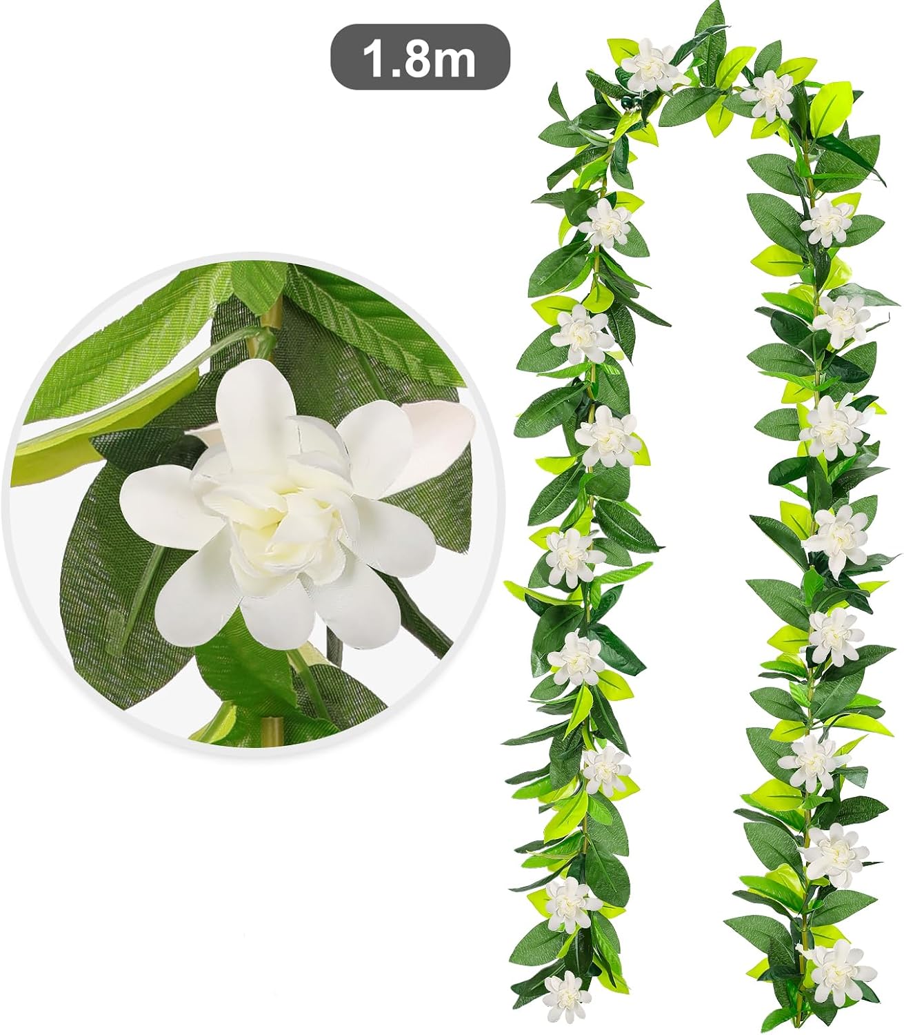 Lebaley 2PCS 2026 Graduation Lei 6ft Hawaiian Traditional Maile Lei with White Tuberose Graduation Gift Green Leaf Flower Necklace Hawaiian Lei Traditional Green Lei for Student School Ceremony Party
