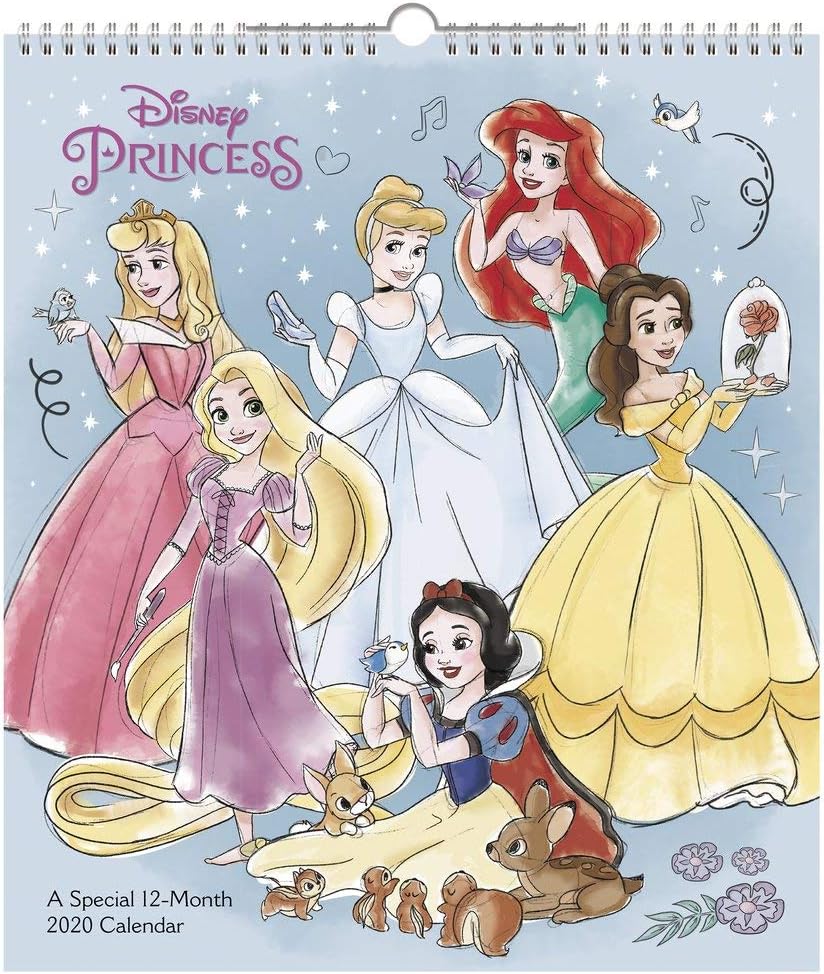 2020 Disney Princess Wall Calendar, Special Edition (DDSE942820)