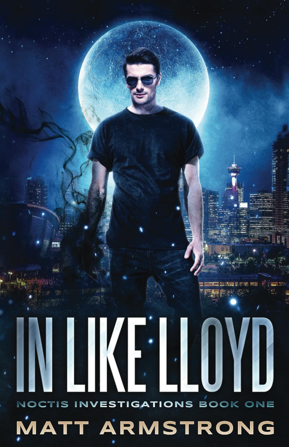 Book cover for In Like Lloyd