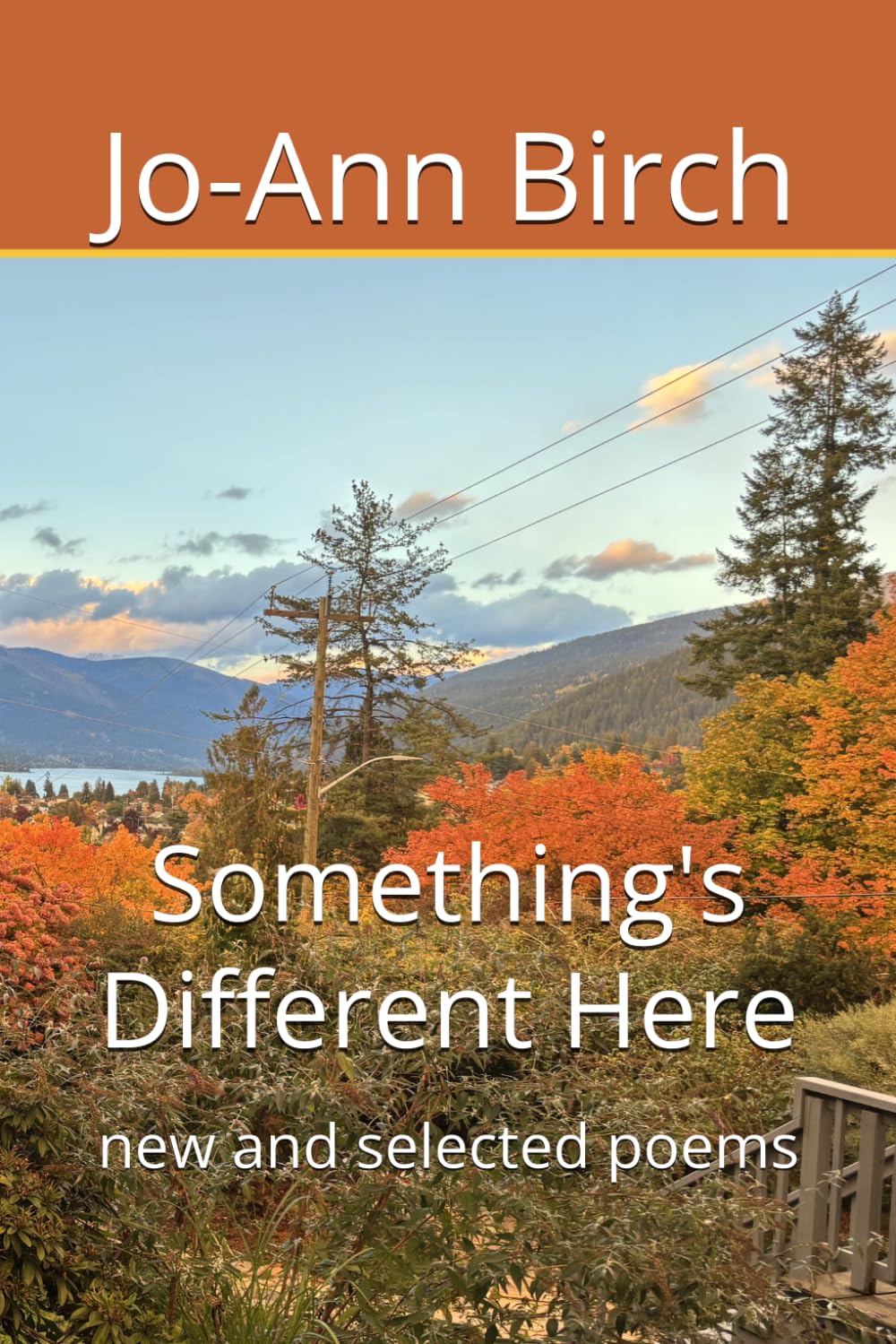 Something's Different Here: new and selected poems