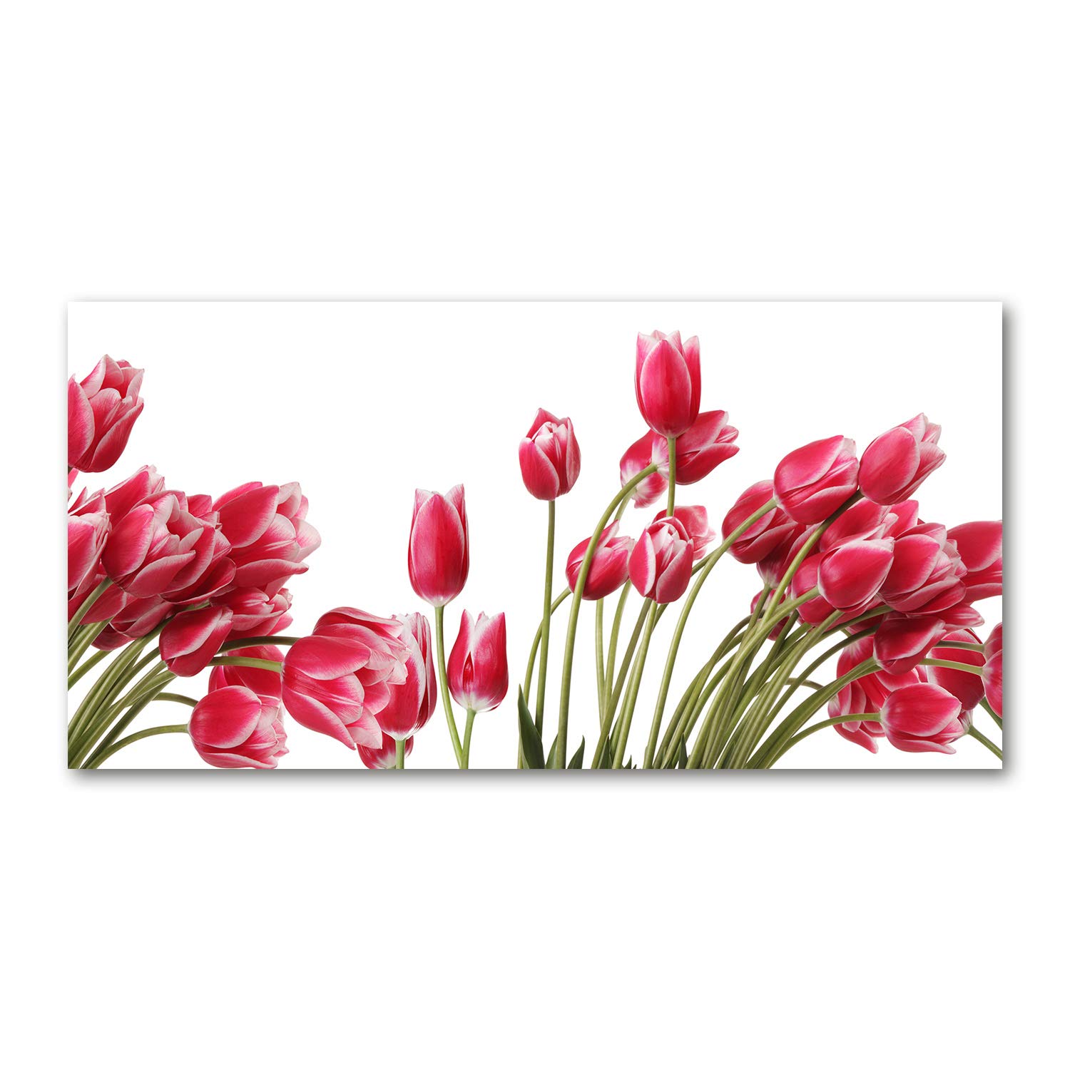 Tulup Red Glass Picture Wall Art - 100X50cm - Tempe Glass Decoration - Print For Living Room Bedroom - Toughened Glass Image - Glass Picture Wall Art - Tulips