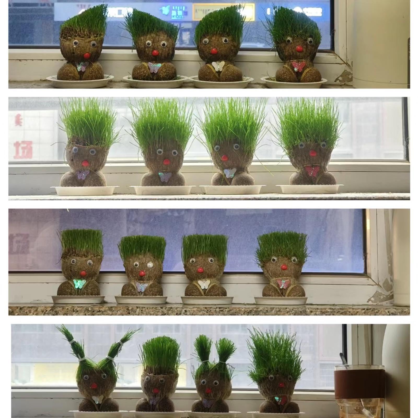 Amazon.co.jp: 成長する草の頭の人形植物、トレイ&スプレーボトル付き