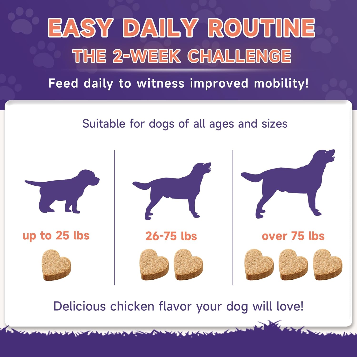 3g 90 Count Hip & Joint Supplement for Dogs with Undenatured Type II Collagen, MSM, Green Lipped Mussel, Glucosamine, Chondroitin Support Mobility, Chicken Flavored Soft Chews