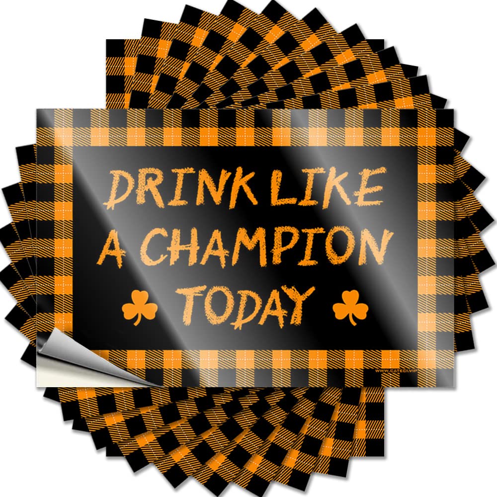 Coffee Bumper Aesthetic Decals, Back Porch Decor Cute Pattern Design for Winter Notebook | Bumper Removable Vinyl Drink Like A Champion Today(12X18CM)
