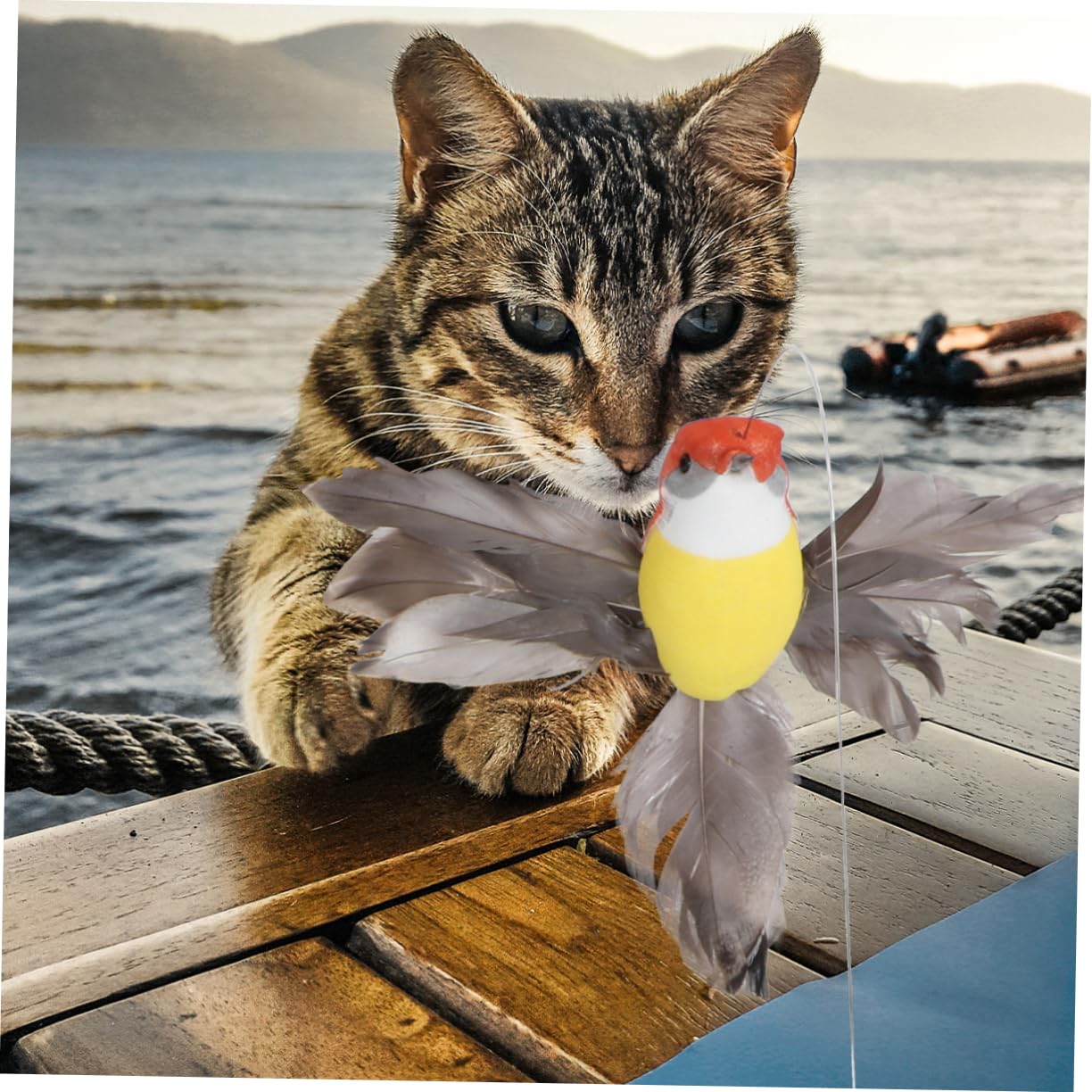 Amosfun 3 Sätze Soaring Bird Katzenspielzeug Interaktives Katzenspielzeug Für Kätzchen Haustier Neckspielzeug Elektronisches Katzenspielzeug 2 Stück * 3
