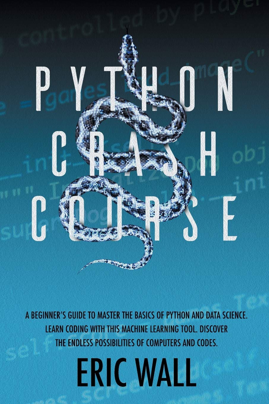 Buy Python C Course: A Beginner's Guide to Master the Basics of Python ...