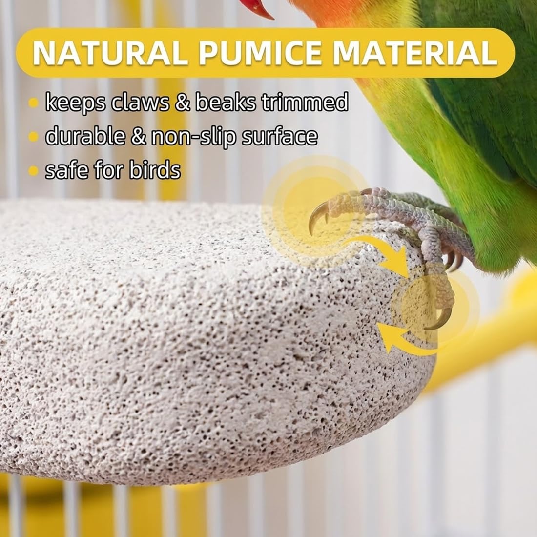 Lot de 2 Supports pour Os de Seiche Oiseaux, Pince Porte-Nourriture pour Cage, Clip de Fixation Fruits et Légumes, Accessoires pour Perruches, Canaris et Perroquets