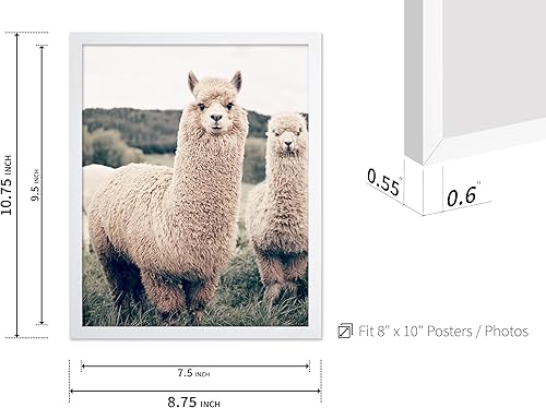 Vista 208 de Poster Master Póster de alpaca – Impresión de alpacas en pastizales – Arte de fotografía – Regalo para hombres, mujeres y amantes de los animales