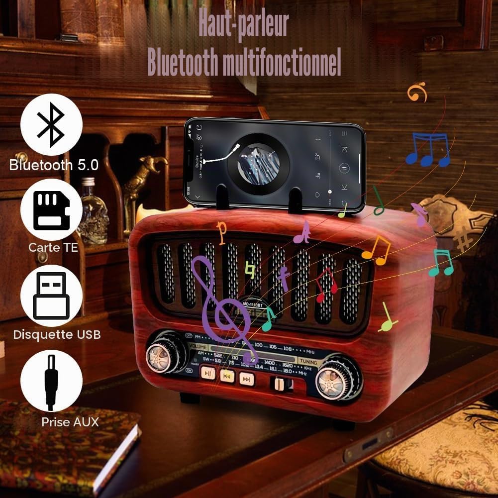 Radio rétro AM/FM/SW avec Bluetooth 5.0, petite batterie de 1800 mAh, cuisine et valise avec haut-parleur de 5 W, prise en charge USB/TF/AUX