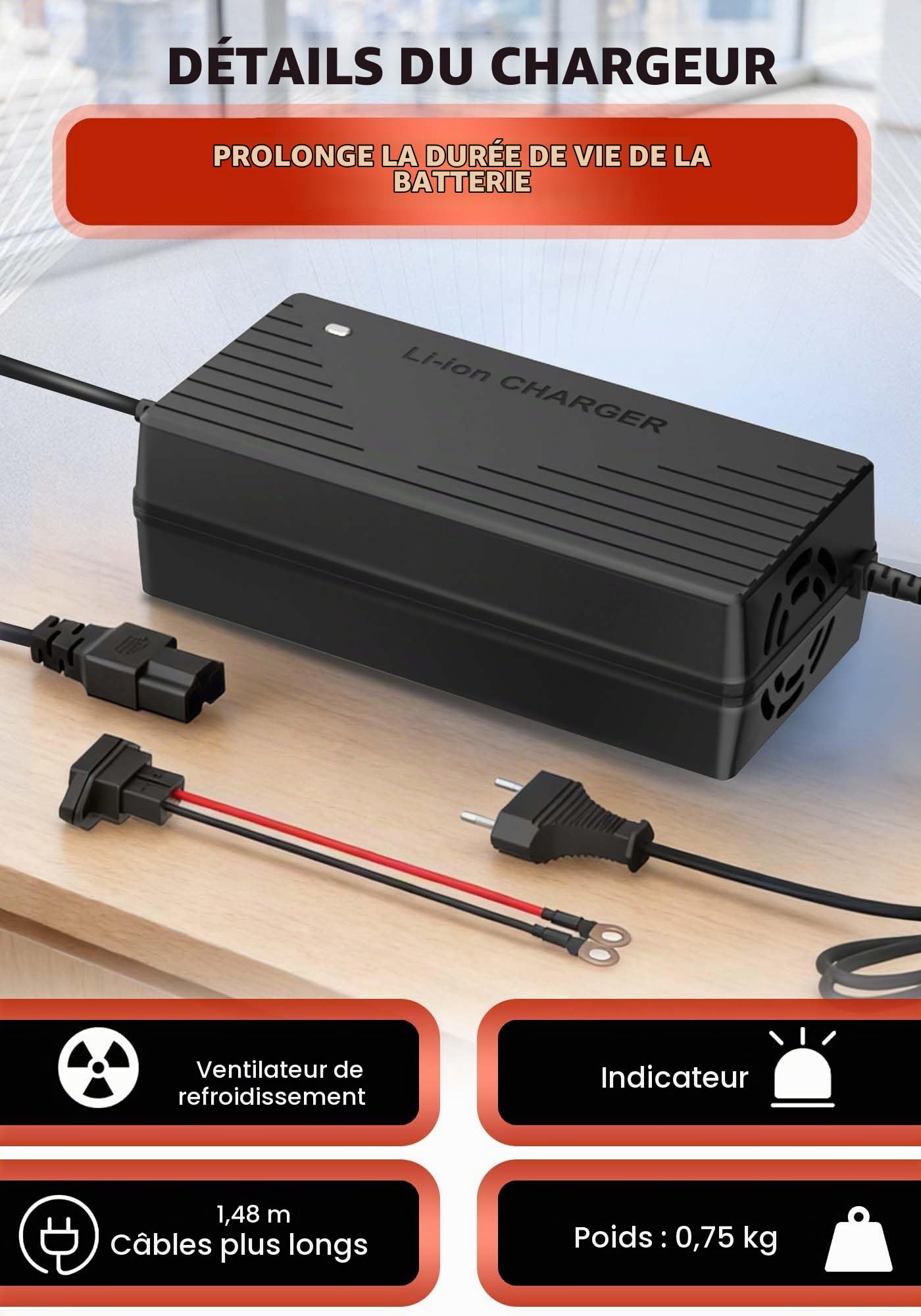 Chargeur de Batterie Lithium 29,2V 10A pour Batterie LiFePO4 24V (25,6V), Chargeur AC-DC Lithium LiFePO4 24V pour Camping-Cars, installations autonomes et Usage Domestique