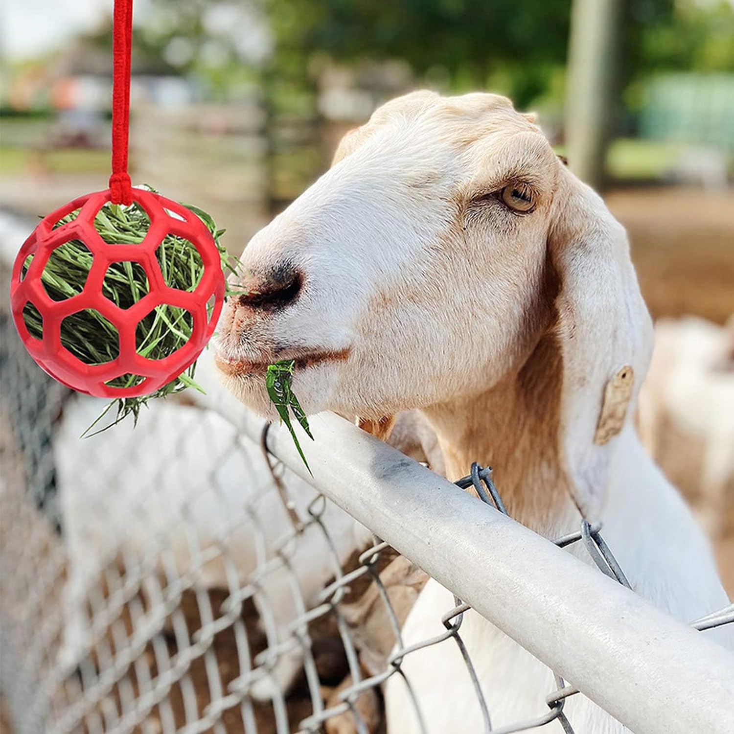 jiejack Palla di fieno, giocattolo per cavalli, fieno appeso rallentare l'alimentazione, giocattoli per cavalli, capre, pecore (blu) - 5