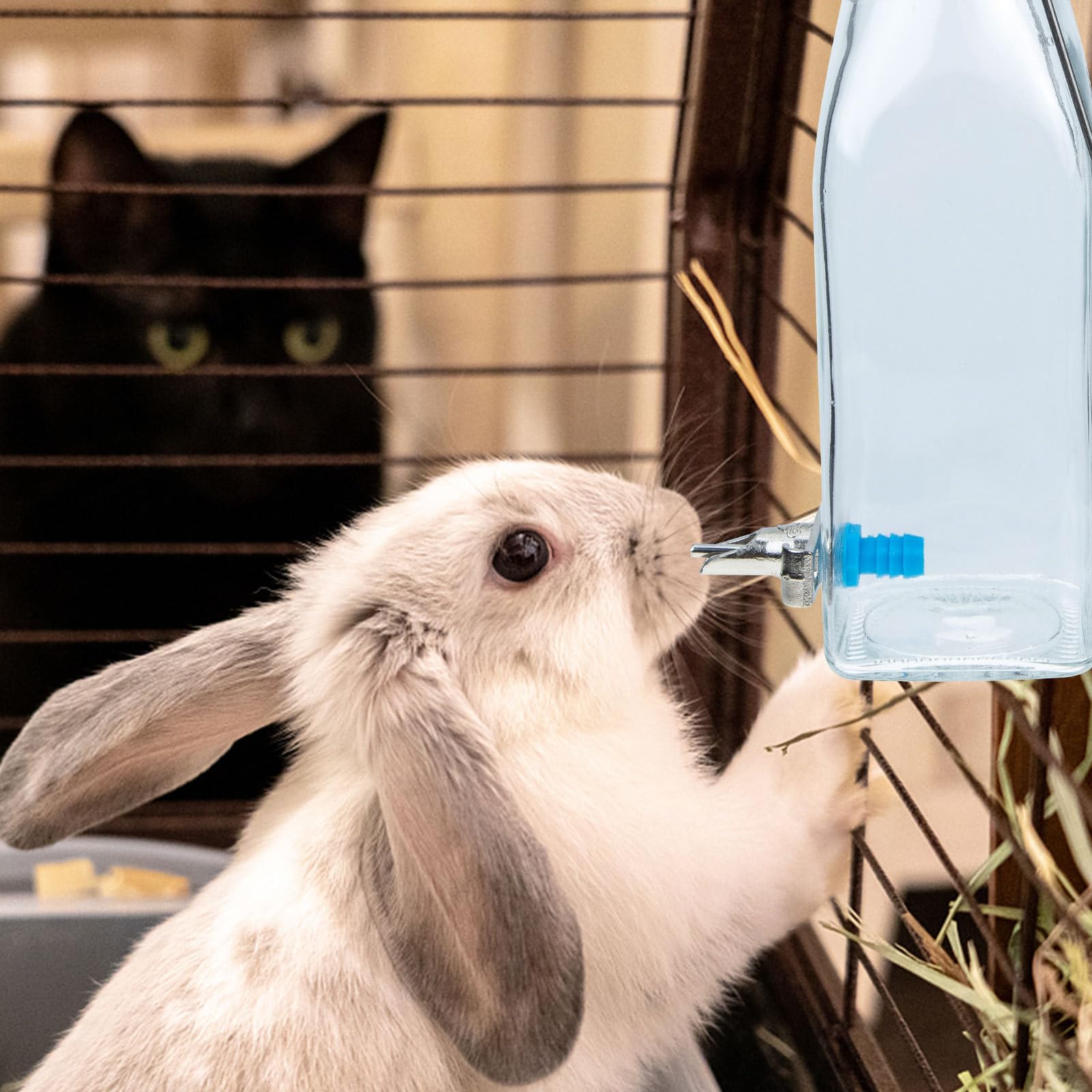 SOLUSTRE Hängende Wasserflasche mit Sicherem Bissschutz für Kleine Haustiere 350ml aus Glas und Platzsparendem Wasserspender für Kaninchen und Kleintiere