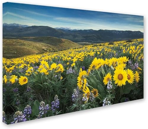 Miniatura 2 de Trademark Fine Art WAP01796-C1624GG Methow Valley Wildflowers IV, 16x24