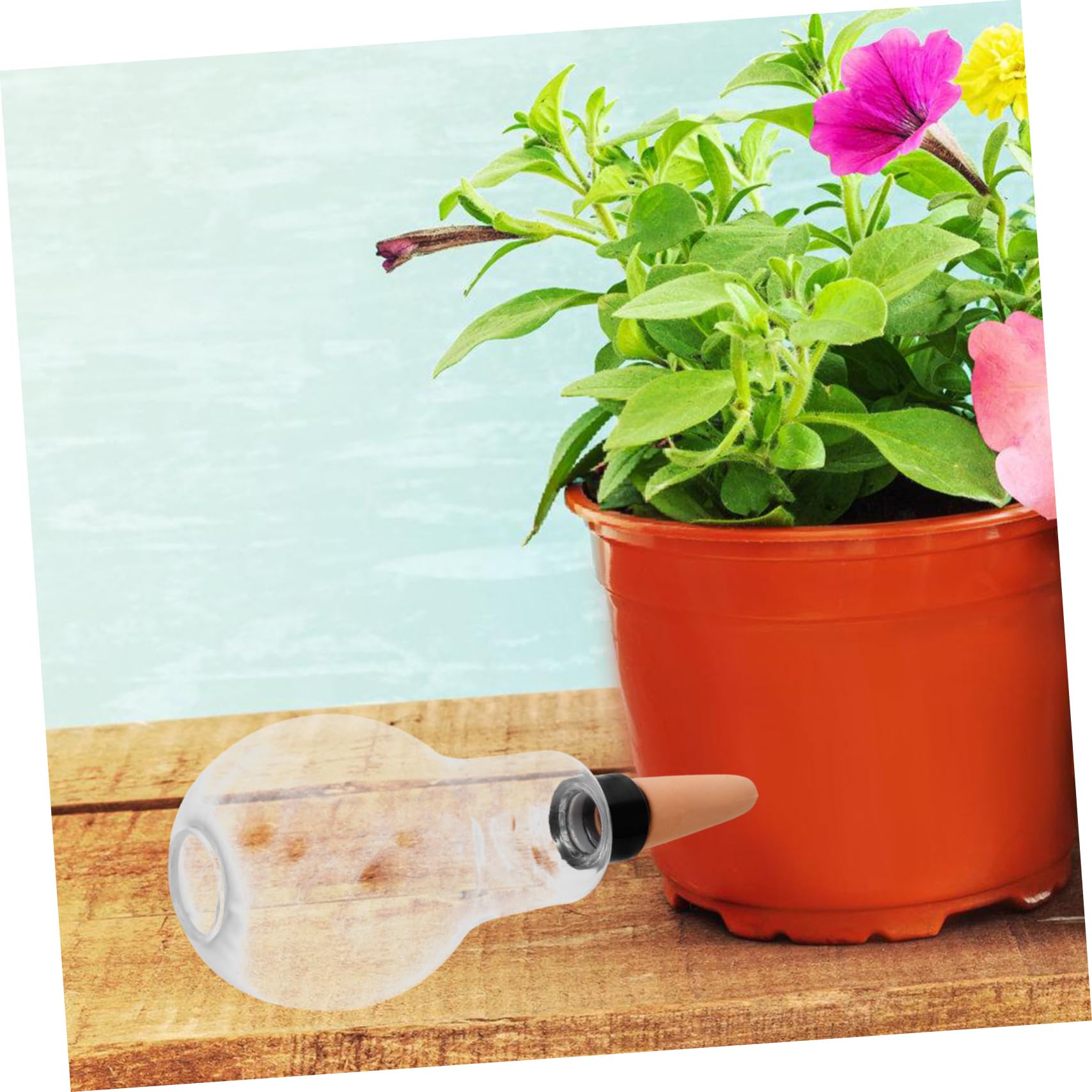 BESPORTBLE 6piezas Automático Sistema De Riego para Plantas Goteros para Interiores y Exteriores Bolas De Riego para Suculentas y Plantas De Interior y Práctico