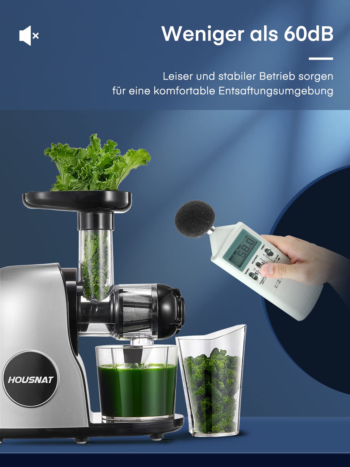 HOUSNAT Slow Juicer, Entsafter Gemüse und Obst, Profi Entsafter mit Ruhigem Motor │ Umkehrfunktion │ Saftkanne │ Reinigungsbürste │ 2 Filterelemente, BPA Frei (Silber)