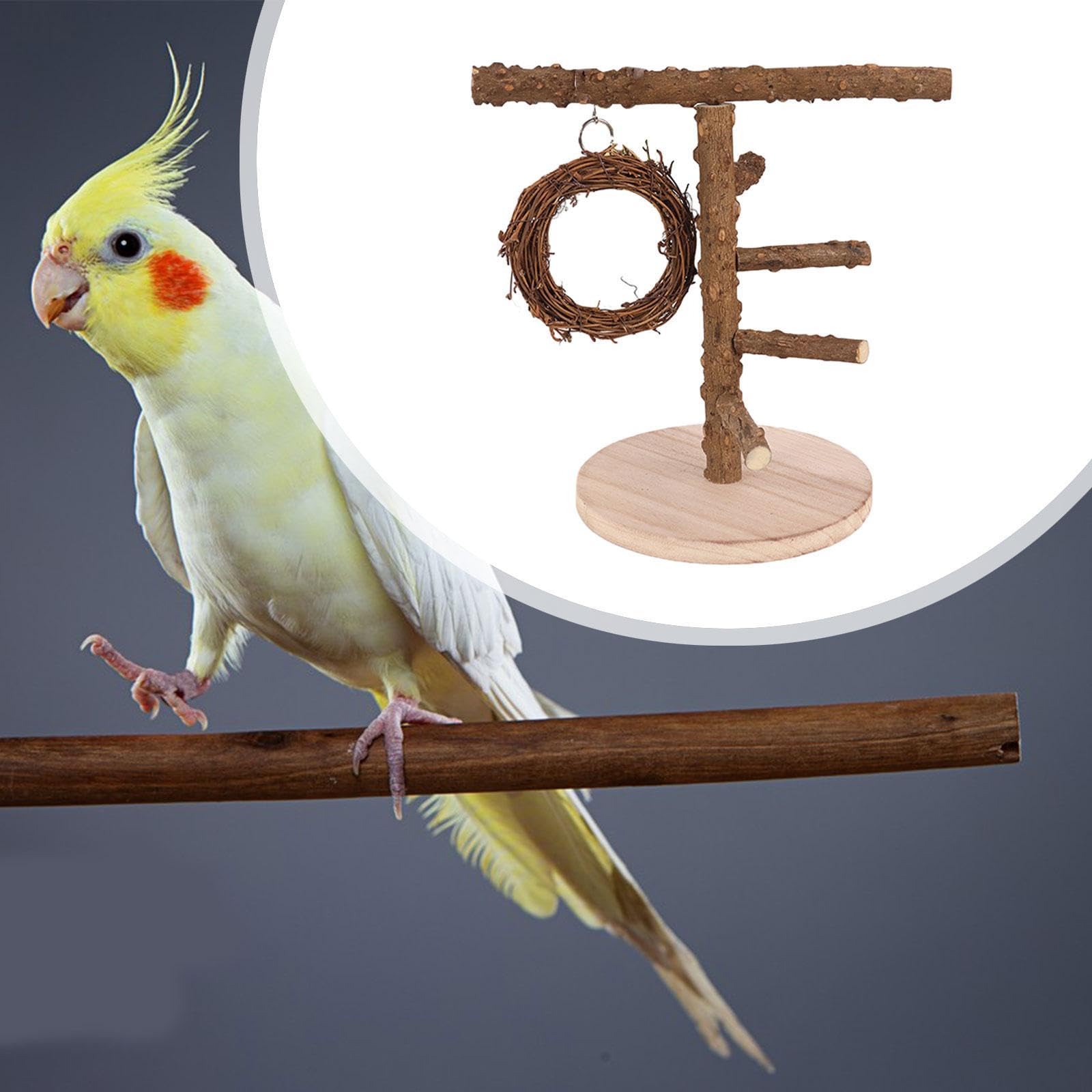 2 set di legno uccello parco giochi in legno stand giocattolo per calopsitte, piccioncini ara