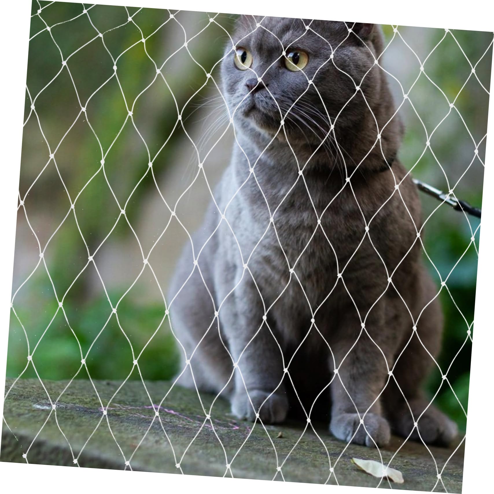 UPKOCH Katzenbalkonnetz aus Nylon für Absturzsicherung an Balkon Fenster und Treppe Kratzfest und Individuell Zuschneidbar