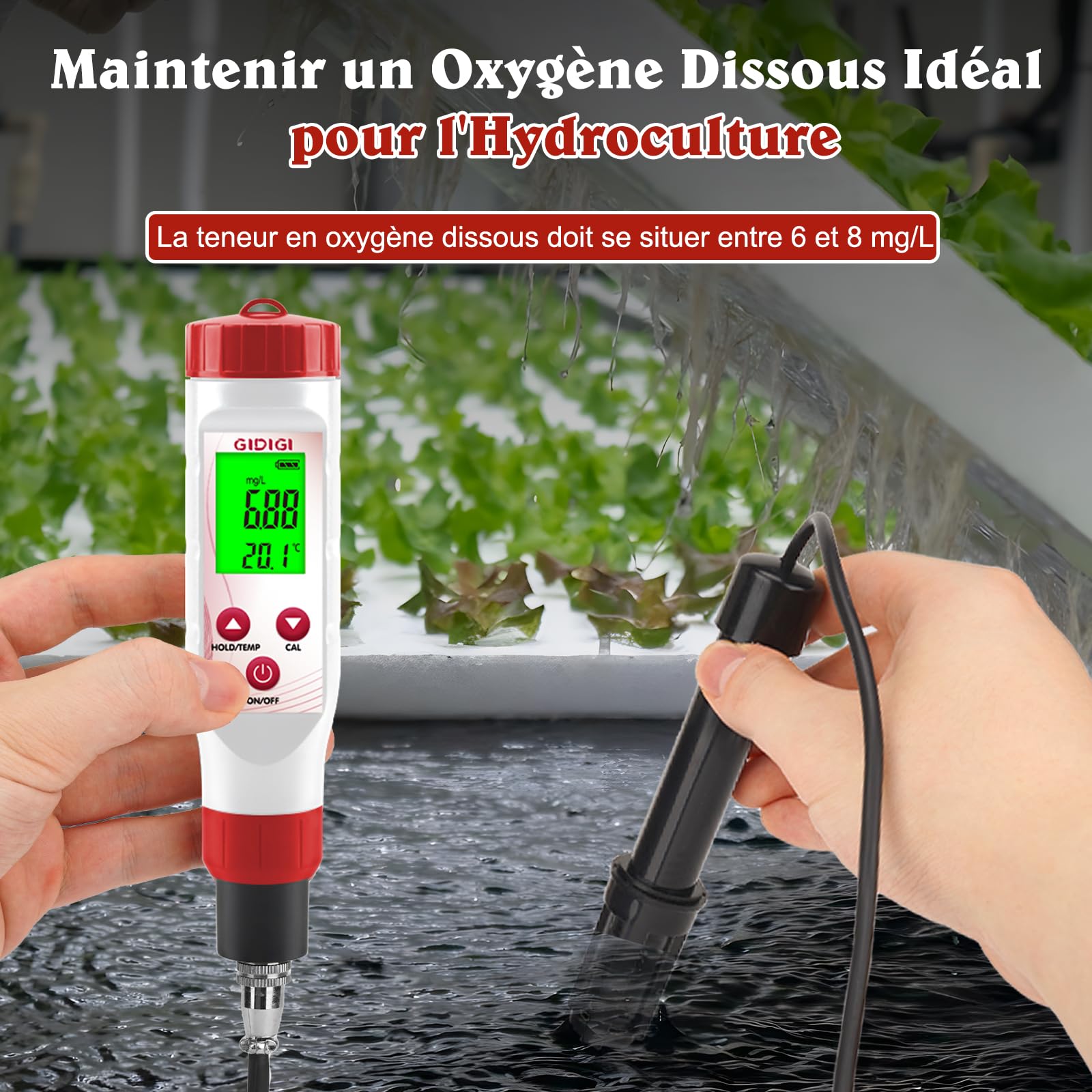 Testeur d'oxygène dissous pour bassin, GIDIGI DOmètre pour l'eau