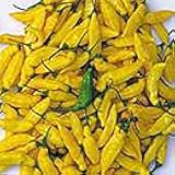 Generic Lemon Drop Hot Peppers Seeds (45 Seeds)
