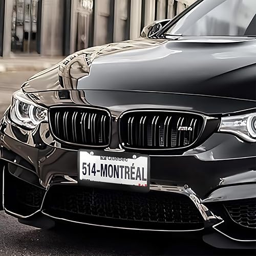 Miniatura 6 de Marco de matrícula de automóvil, 2 piezas de acero inoxidable mate, duradero, resistente al óxido, universal para automóviles, SUV, camionetas con