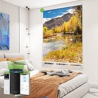 Vista 25 de TIPIACE Persianas de impresión motorizada recargables con control remoto, persiana enrollable de tela opaca completa compatible con Alexa Google