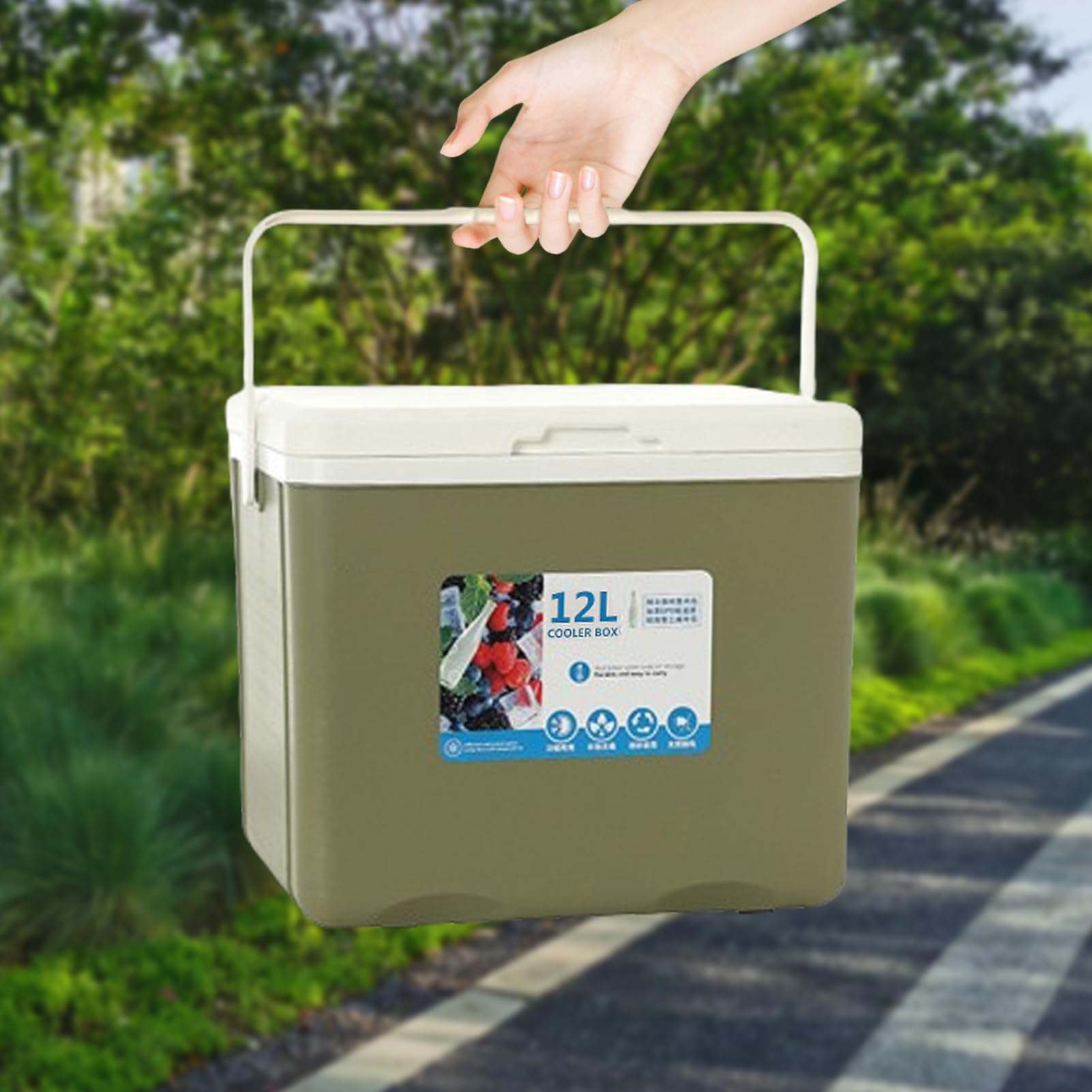 Isolierter tragbarer Kühler, kleine 12-Liter-Kühlbox für Speisen und Getränke, Hartschalen-Kühlbox, isolierter Außenkühler-Behälter, Camping-Kühlbox, auslaufsichere Gefrierbox für Grill