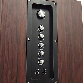 FUZE フューズ TSX220 アンプ内蔵デュアルウーファータワースピーカー FUZE フューズ TSX220 アンプ内蔵デュアルウーファータワー