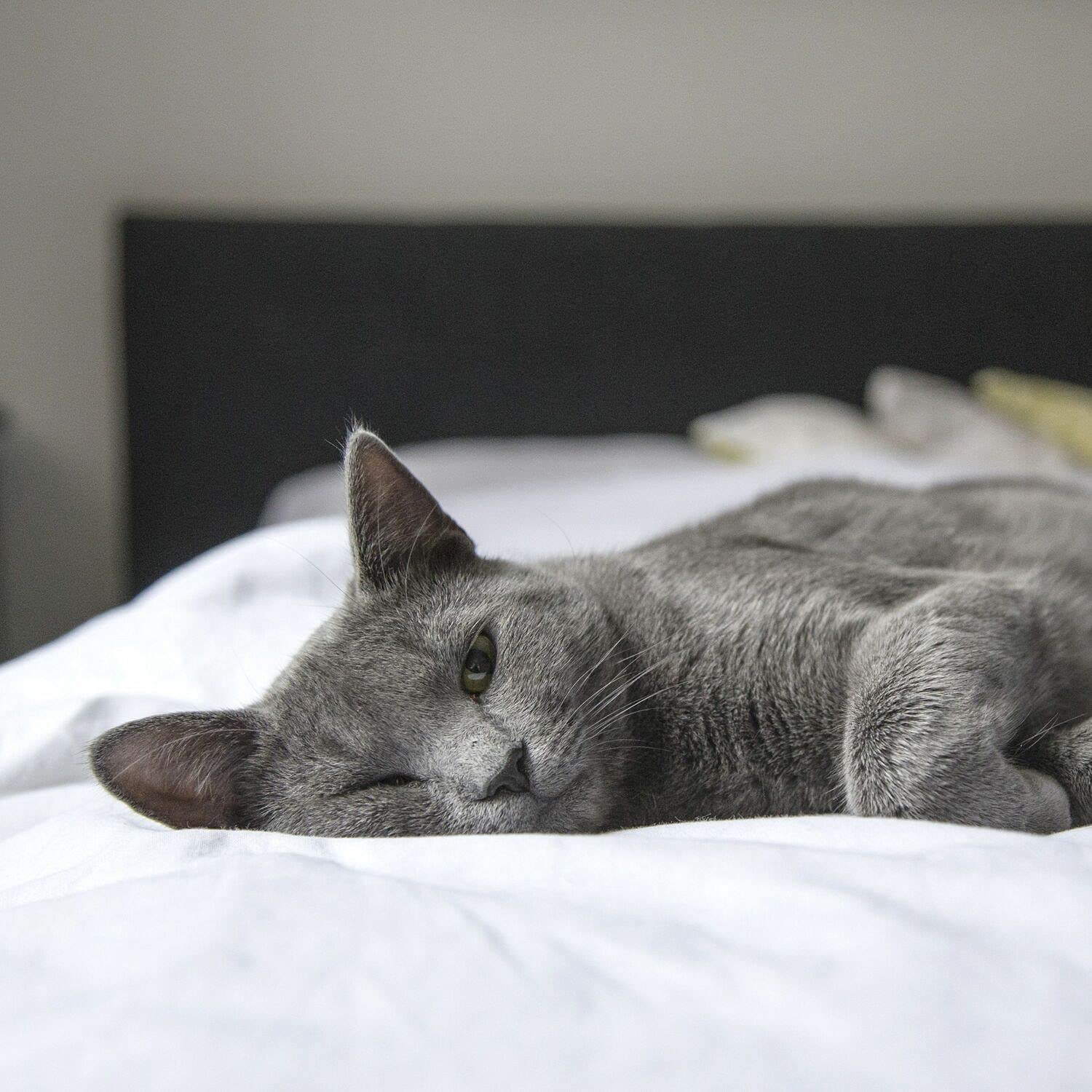 Green Noise Baby Sleep