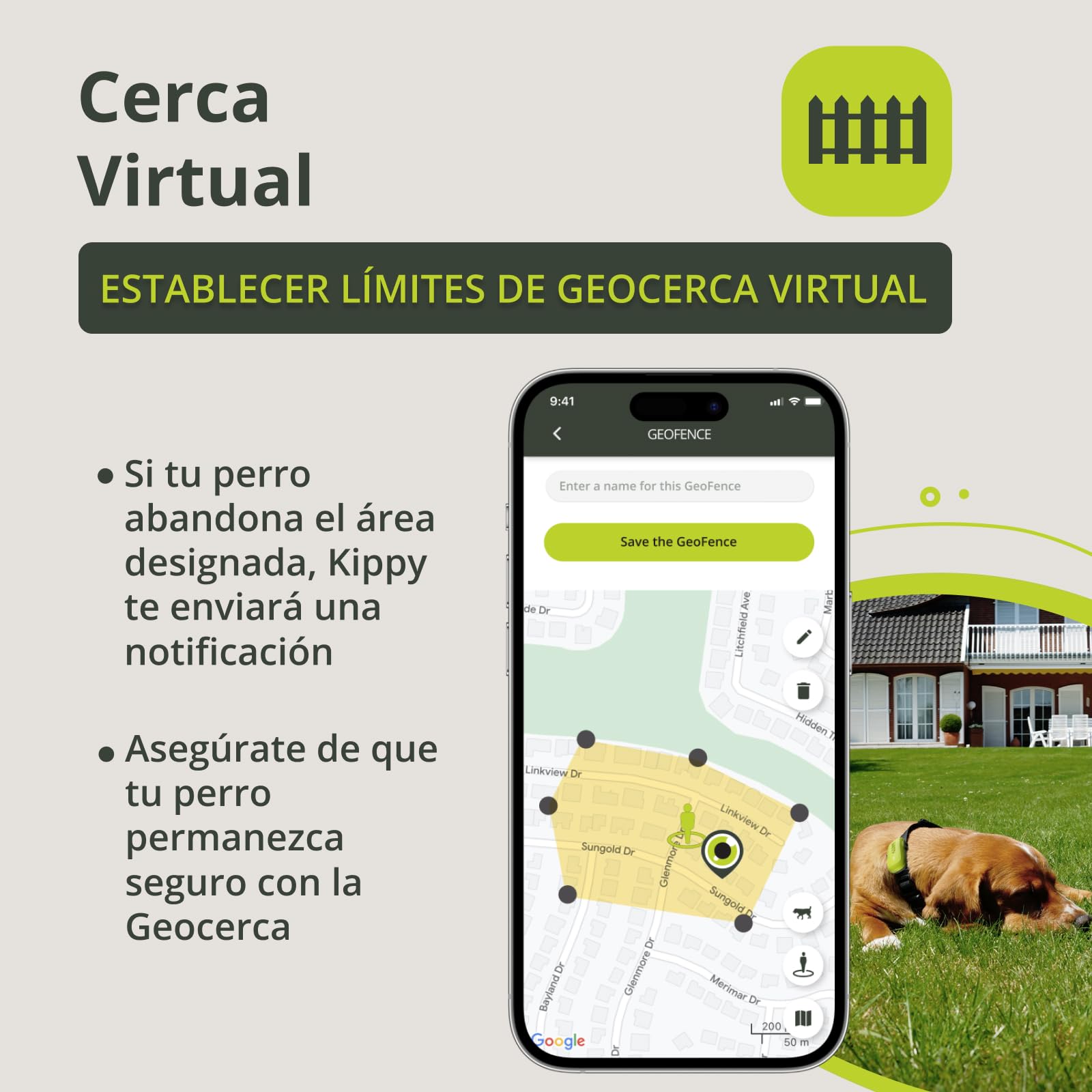 Kippy Dog | GPS para Perros - Rastreador GPS Impermeable para Perros con sujeción para Collar - Seguimiento de Actividad y Salud para tu Perro, con GEOFENCE y notificaciones - Color Verde