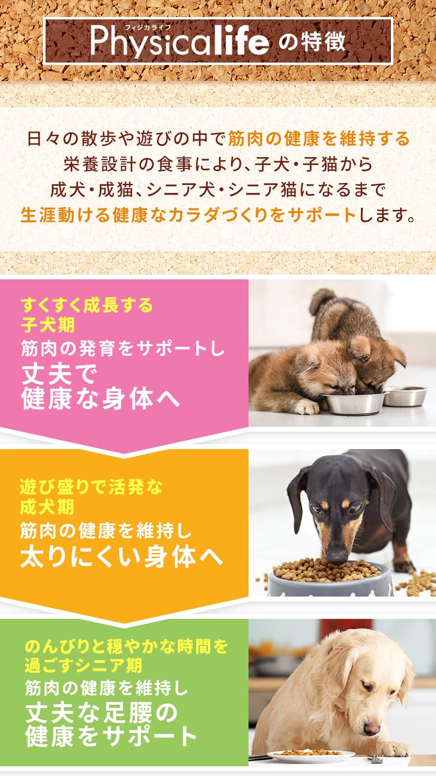 Amazon.co.jp: フィジカライフ (Physicalife) シニア犬用 チキン＆大豆